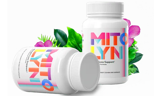 fitlife1.hostingersite.com